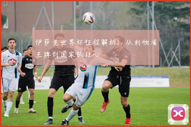伊萨克世界杯征程解析：从利物浦王牌到国家队核心
